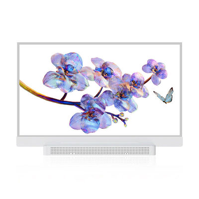 OEM ODM Écran OLED transparent, 55 Affichage OLED transparent