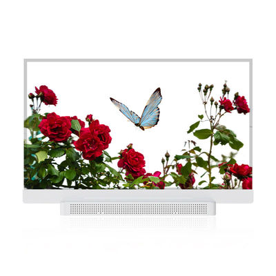 OEM ODM Écran OLED transparent, 55 Affichage OLED transparent